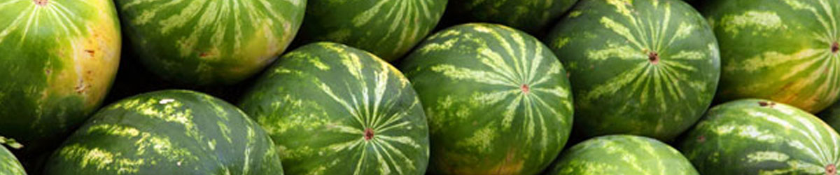 Watermeloen Kraamzorg de Waarden week 39